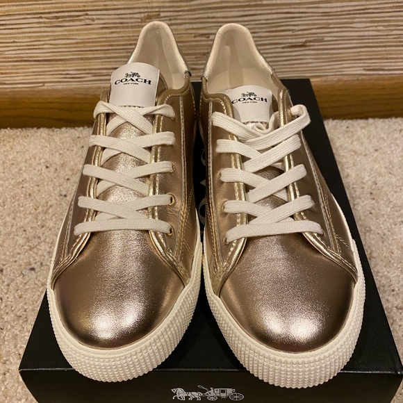 c136 low top sneaker